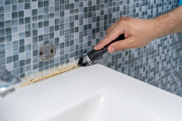 Best Post-Flood Mold Remediation in Cockeysville, MD